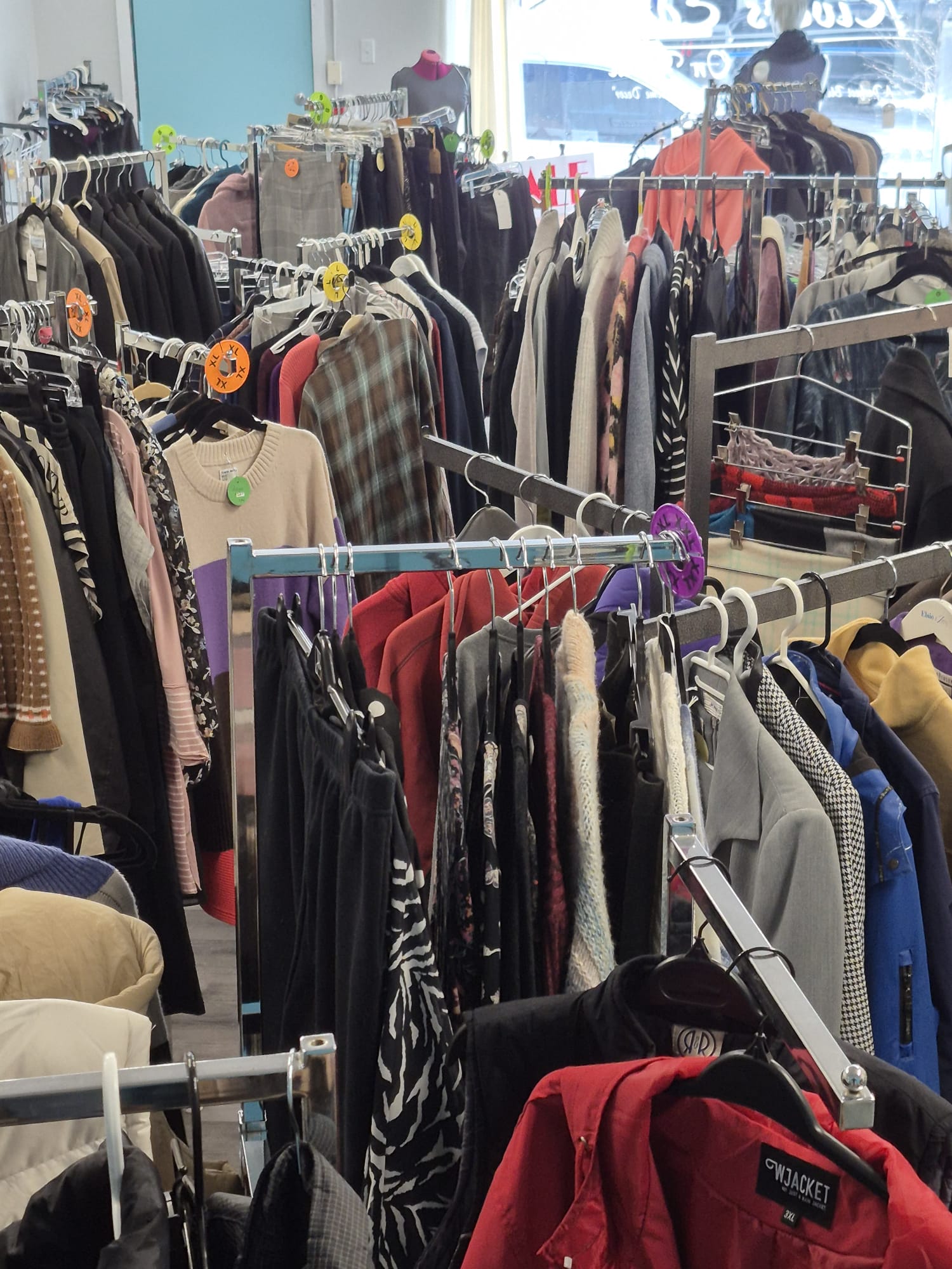 PHOTO-2026-02-25-11-19-33 copy